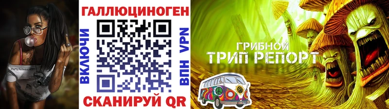 Галлюциногенные грибы GOLDEN TEACHER  Купить закладки  Долинск 